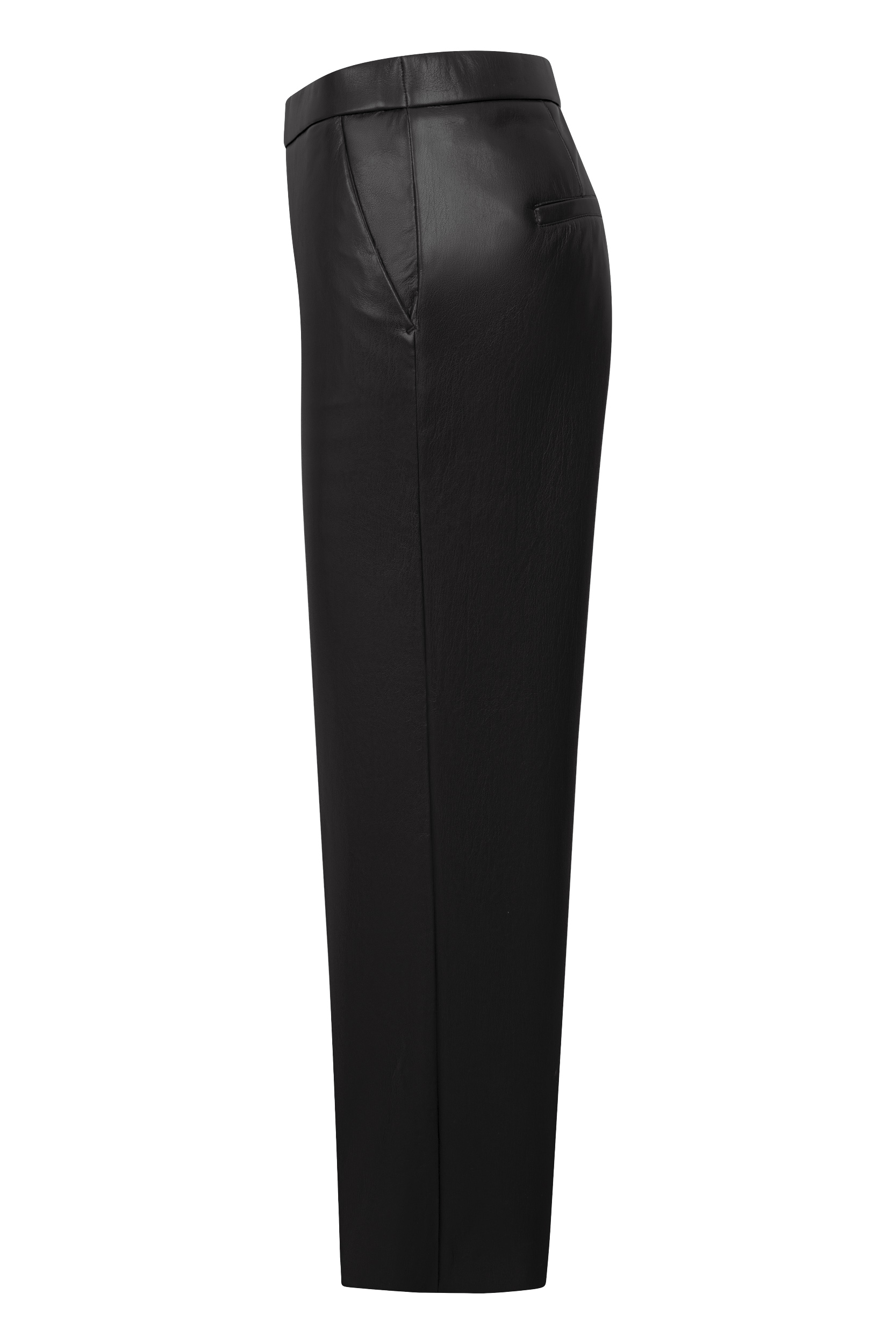 Palina 6/8
