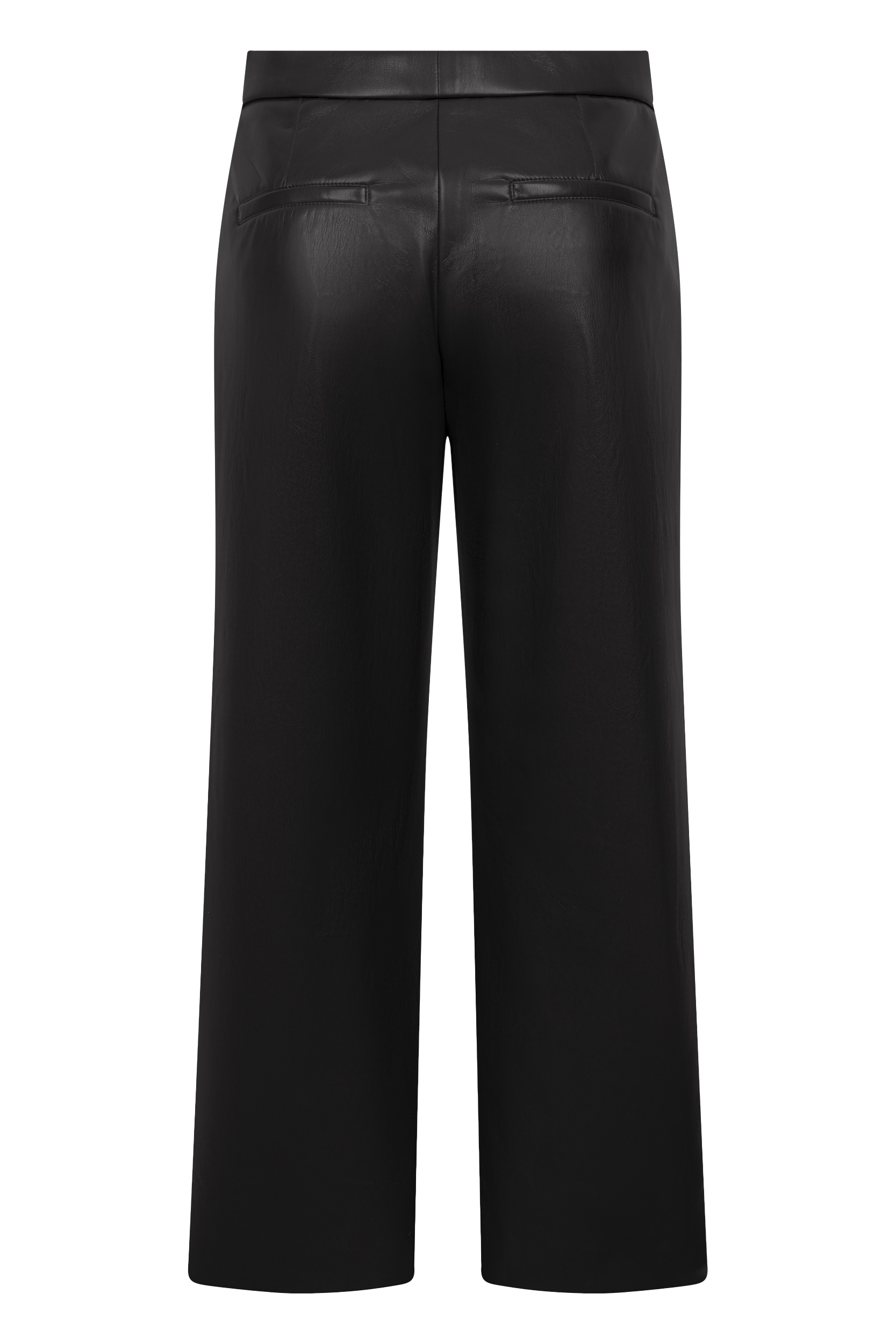 Palina 6/8